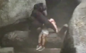 Việc hy hữu con khỉ cứu cậu bé bị hôn mê