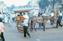 Xe ngựa trên đường phố Sài Gòn xưa