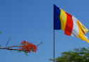 Sri Lanka: Tịch thu 50.000 cờ Phật giáo không đúng tiêu chuẩn