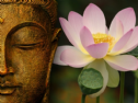5 Truyện Ngắn Phật Giáo Chứa Đựng Những Bài Học Cuộc Sống Hay Và Ý Nghĩa
