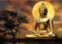 7 điều hạnh phúc nhất mà đạo Phật mang lại cho con người