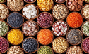 9 công dụng tuyệt vời của các loại đậu hạt với sức khỏe