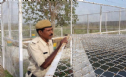 Ấn Độ: Chính quyền chi số tiền lớn để bảo vệ cây Bồ-đề