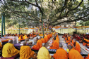 Ấn Độ: Đại diện 30 quốc gia cầu nguyện tại Bồ đề Đạo Tràng