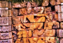 Ấn Độ: Phát hiện công trình Phật giáo có trước đền Angkor