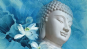 Các Câu Trích Dẫn Giáo Lý Của Đức Phật. Bài 3