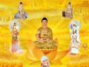 Cảm kích ân đức của Chư Phật và Chư Bồ Tát