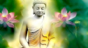 Đạo Phật là Đạo con người