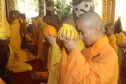 Đức Phật dạy vị Tỳ Kheo thích sống một mình như thế nào?