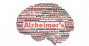 Giảm nguy cơ Alzheimer từ thực phẩm