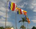 Lá cờ Phật Giáo thiêng liêng