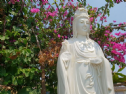 Năm tượng Phật chùa Hương Tích, Santa Ana, bị chém lìa tay