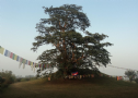Nepal: Phát Hiện Ao, Chùa Cổ Tại Stupa Ramgram