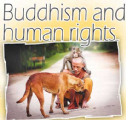 Phật giáo và nhân quyền