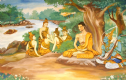 Đức Phật Thích Ca Mâu Ni (Phần 10): Hàng phục Rồng độc, Ca Diếp cầu độ
