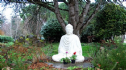Phật trong nhà, Phật ngoài vườn