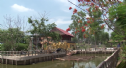 Sài gòn: Bắt khẩn cấp đối tượng đe dọa, tống tiền trụ trì chùa Huyền Trang (Nhà Bè)