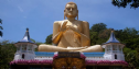 Sri Lanka: Khai Mạc Hội Thảo Phật Giáo Quốc Tế