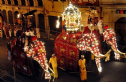Sri Lanka: Lễ hội rước Xá lợi Răng Phật