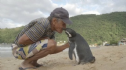Suy ngẫm Từ chuyện chim cánh cụt biết ơn người cứu mạng
