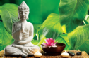 Suy nghiệm lời Phật: Nhìn trái mà thấy người