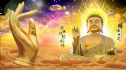 Tại sao người Phật tử phải niệm Phật, tụng kinh, trì chú, tọa thiền?