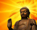 Tại sao Phật tử hay niệm A Di Đà Phật?