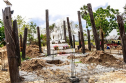 Thái Lan: Dân làng trùng tu một ngôi chùa cổ bị bỏ hoang