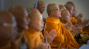 Thái Lan & New Zealand: Kỷ niệm quan hệ ngoại giao bằng nghi thức Phật giáo