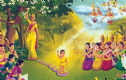 Thông Điệp Đại Lễ Phật Đản 2641 - PL 2561 - Dl.2017 Của Đức Pháp Chủ Giáo Hội Phật Giáo Việt Nam