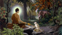 Thú vật có hiểu và được hưởng lợi lạc khi nghe kinh Phật hay không?