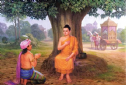 Trưởng Giả Chất Đa La Học Phật