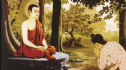 Ý nghĩa và tác dụng của lễ bái, lạy Phật