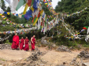 Ấn Độ: Dharamsala - miền đất của đức tin
