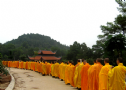 Dân Chủ, Hòa Bình Là Con Đường Của Phật Giáo