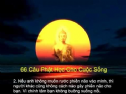 66 Câu Phật Học