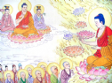Lược sử đại nguyện và hình ảnh Đức Phật A Di Đà
