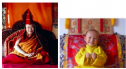 Hóa thân Lạt ma Trulshik Rinpoche được công nhận