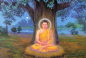 500 Đại Nguyện Của Đức Phật Thích Ca