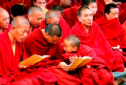 Ấn Độ: Hàng ngàn tu sĩ diễu hành kỷ niệm ngày Đức Phật thành đạo