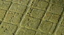 Bảng chữ đá cổ từ thế kỷ thứ 7 hé lộ bí ẩn về nền văn minh Maya