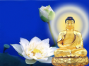 Phật thuyết Thập Vãng Sanh A Di Đà Phật Quốc Kinh