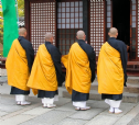 Sự phát triển của y áo Phật giáo