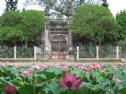 Các tông phái Phật Giáo tại Việt Nam
