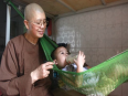 GS. Đào Trọng Thi: “Đừng gắn chuyện mua bán trẻ em với nhà chùa”