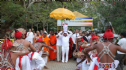 Australia: Một nhánh cây bồ-đề thiêng từ Sri Lanka đã đến Victoria