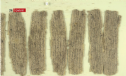 Bản kinh văn thời đại Gandhara (thứ i-iii trước tây lịch) được công bố tại Thư viện Quốc hội Hoa Kỳ