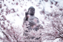 Bảo tồn và phát huy văn hóa Phật giáo ở Châu Á