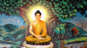 Các Câu Trích Dẫn Giáo Lý Của Đức Phật - Bài 2