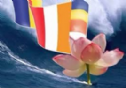 Canada: Sẽ tổ chức hội thảo học thuật về Phật giáo trực tuyến trong tháng 12